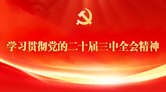 学习贯彻党的二十届三中全会精神